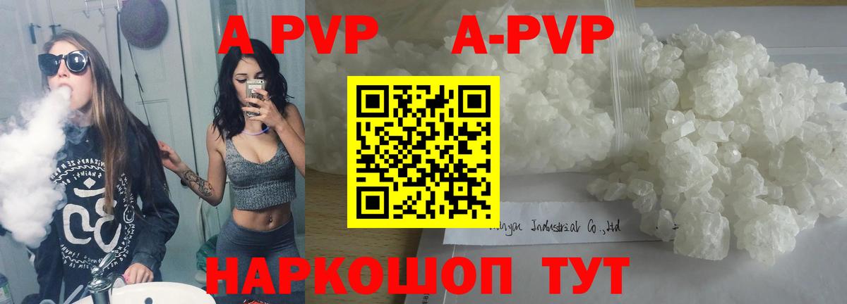 Элиста  А ПВП СК КРИС  Вход с VPN 