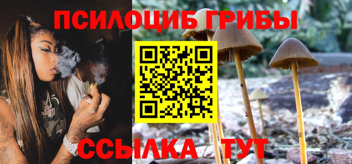 Элиста  Галлюциногенные грибы GOLDEN TEACHER  Вход с VPN 